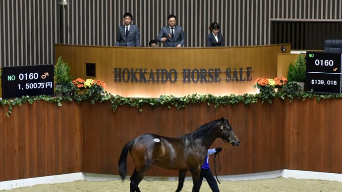 セレクションセール出身馬【リプレーザ(Ripresa)】が「兵庫チャンピオンシップ(3歳Jpn2)」を優勝