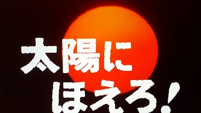 『太陽にほえろ!』1979~1980