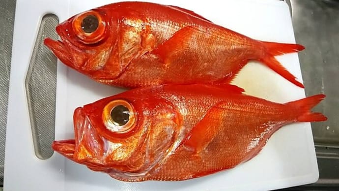 金目鯛