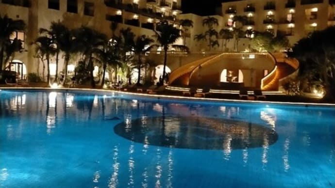 たまの夜歩きは楽しい