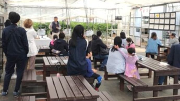 イチゴ狩り 最終日 & 花まつり 最終日 & 雨の日に・・・