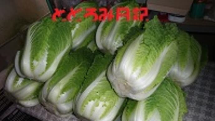 2月も終わり、三寒四温を感じ…
