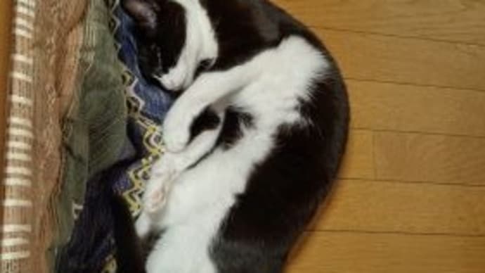 あちらこちらに。そして良いお年を。