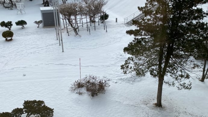 アレルギー、ある?ない?