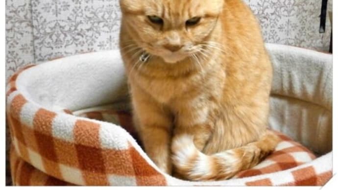 生きてますよ