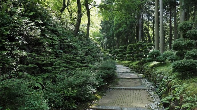 弧蓬庵・・・参道