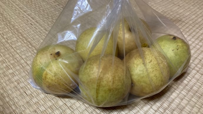 20世紀梨
