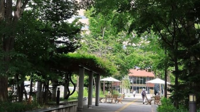 緑道で 虫に好かれる