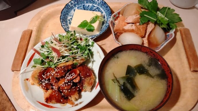カツオの味噌カツ と フウセンカズラ発芽!