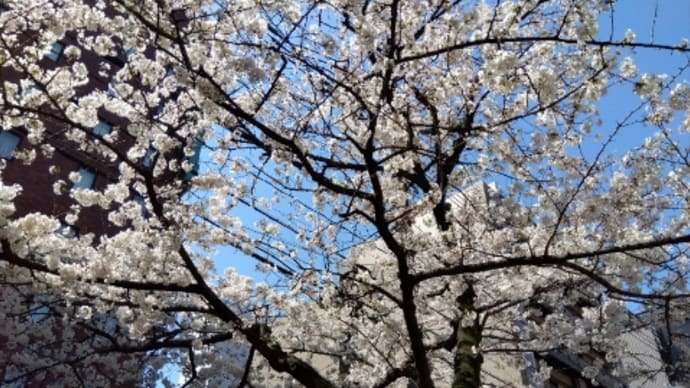 2024年4月6日は店休日