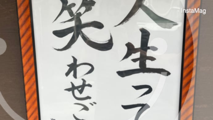 朝の散歩から