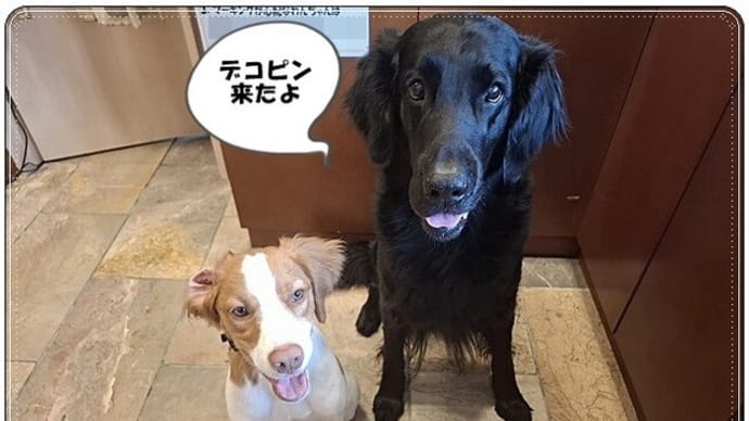 実店舗最後の週末
