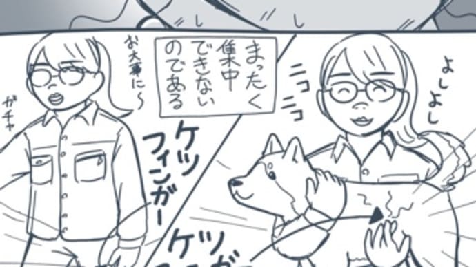 とある動物看護師の日常