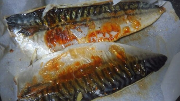 魚新 連発 さば半身 なめこ
