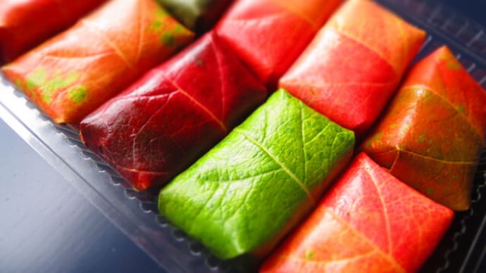 色あざやかな紅葉柿の葉寿司