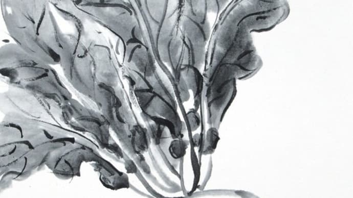 水墨画「聖護院蕪」（ダイコンとカブの違い）