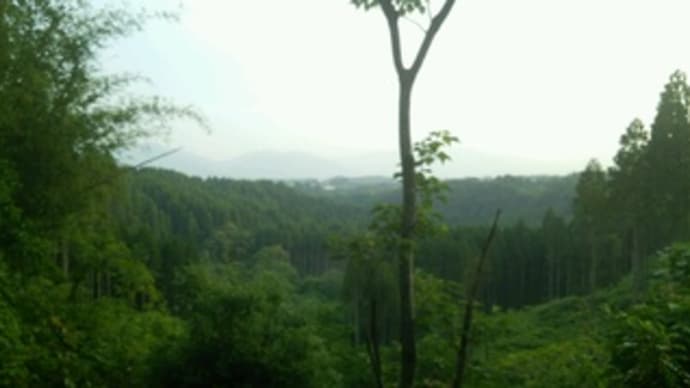 運動風景12