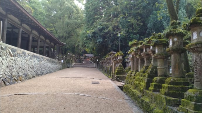 奈良旅行④