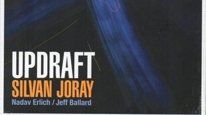 SILVAN JORAY、スイス出身のギターな方なんだね:D【ギタリスト系・その271】