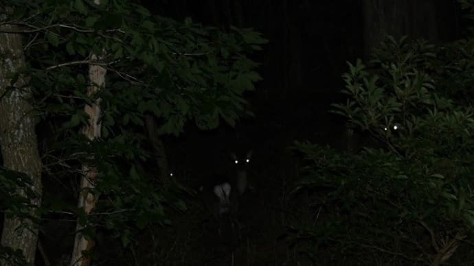 只今、充電を終え帰宅しました