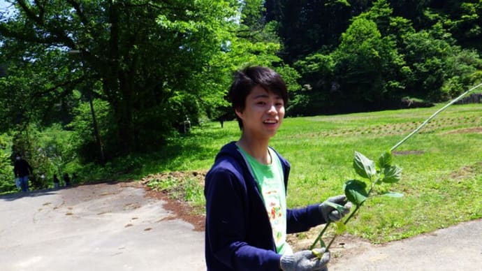 身の回りの草花を使って