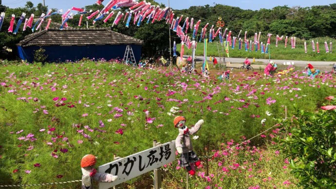 5月の青空の下・・・今帰仁村のかかし広場