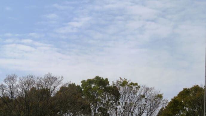 今日も良い天気でした~♪