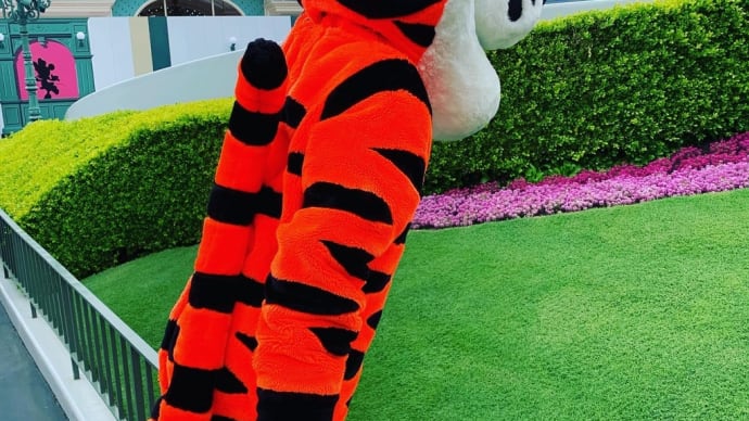 693 TDL×直立ティガー (エントランスでのキャラグリ)。
