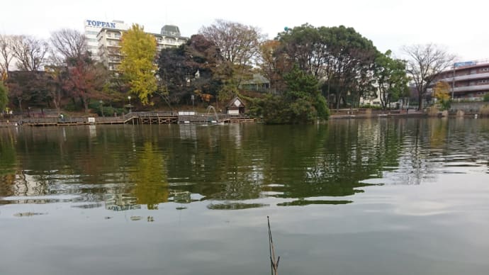 板橋区見次公園に行ってきた。えっ!今からいくの?