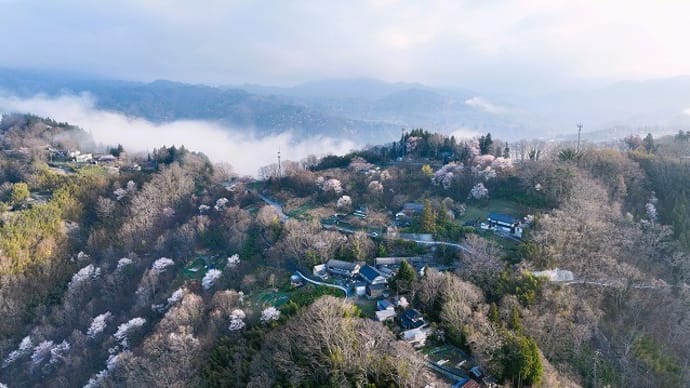 赤地蔵周辺からの風景