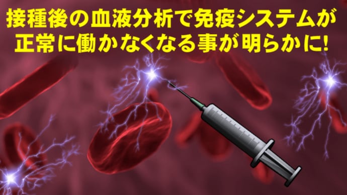 ブライドル博士「💉より自然免疫の獲得が大事」