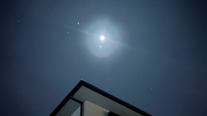 明日も寒そうです
