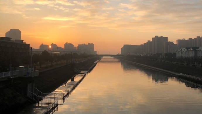 境川/美浜橋方面 12月18日 5.45km