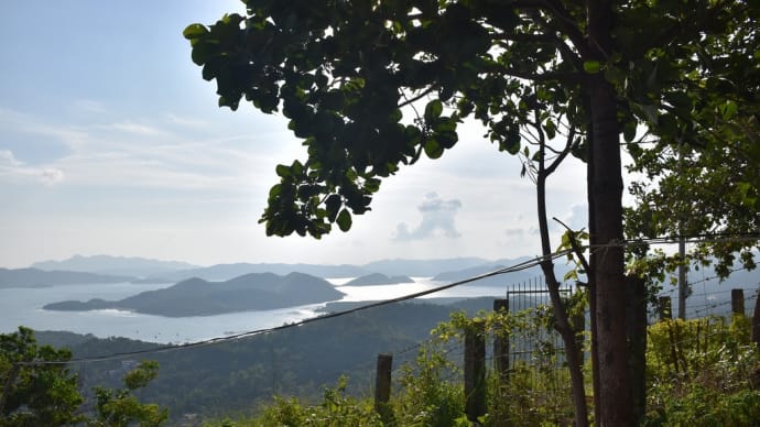 2019年夏休み フィリピン旅行・ブスアンガ・コロン島旅行(5日目-11)頂上手前で ダウンか?