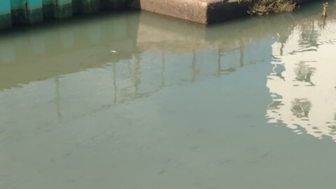 魚影