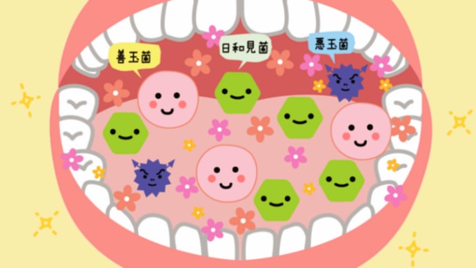 【口内フローラ】【口腔ケア】【虫歯】【歯医者】【ハミガキ】