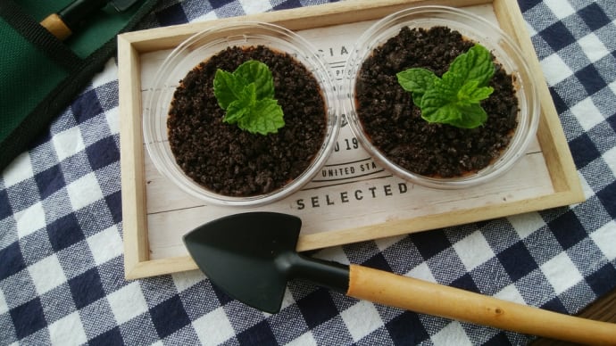 植木鉢の??を作ったのと、ソーダのカニかま、ゴーヤ料理。