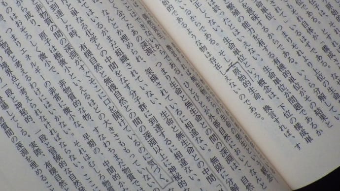 最近、驚いたこと(32) …『魔の山』を読んでいると、いつも何かを思い出す…
