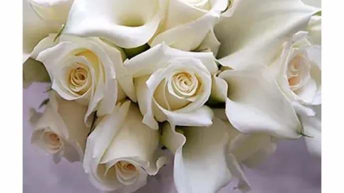 All Souls Day
