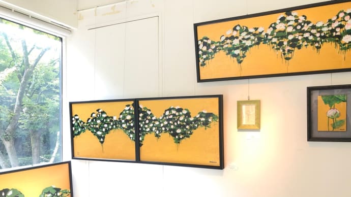 蓮展が始まりました。