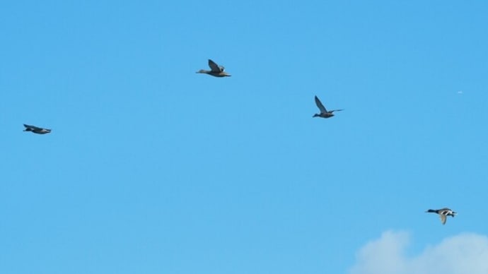 河口の空