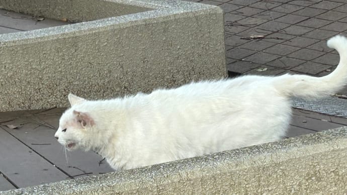 今日いち-2025年5月10日