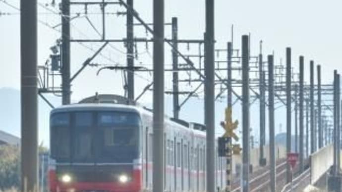 はさがけ