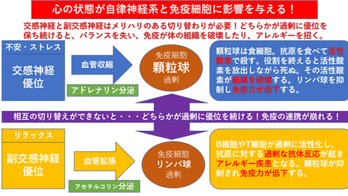自律神経とは!-part7 心の乱れは免疫の働きを乱す