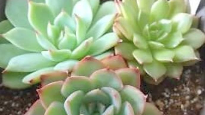 驚きの発言で決まった事とは・・・