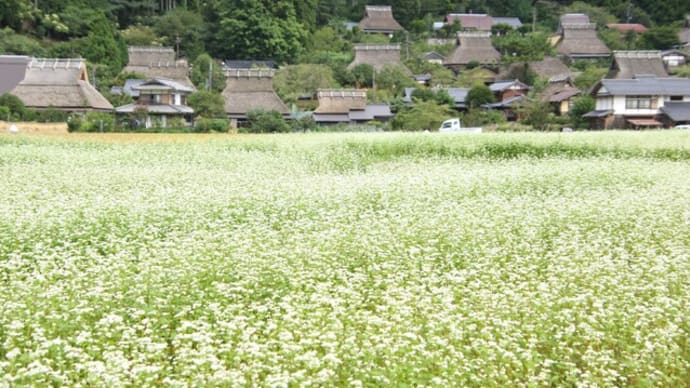 美山かやぶきの里