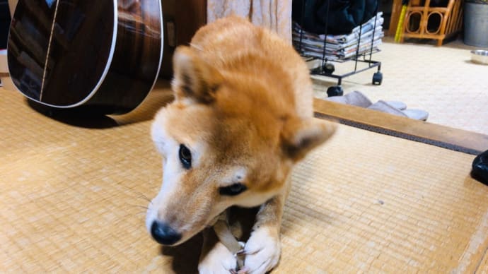 ケンちゃん