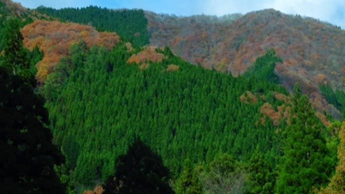 県境の紅葉