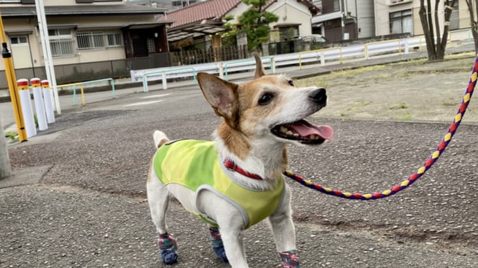 削除できない