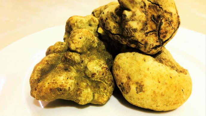 Tartufo bianco(白トリュフ)